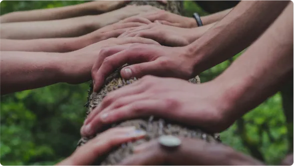 Many hands hold a long wooden
