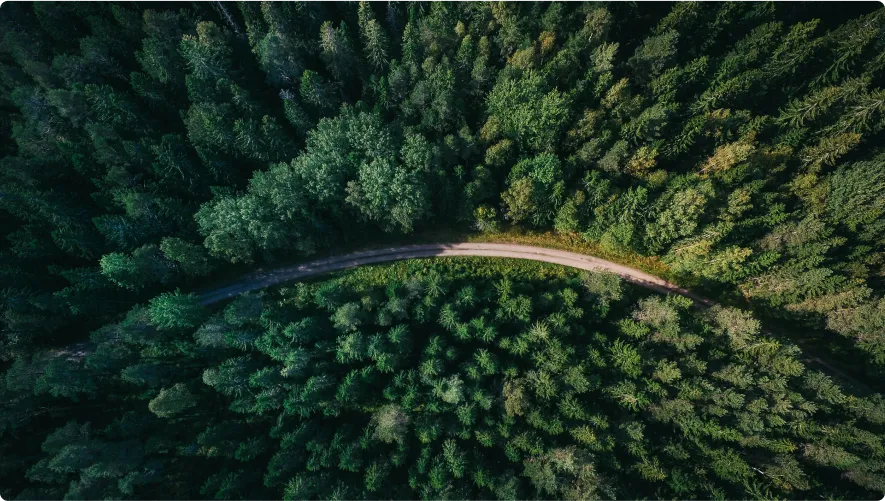 There is a winding road in the forest,expressing the concept of environmental protection