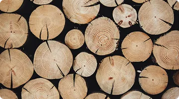 Eco friendly packaging material
